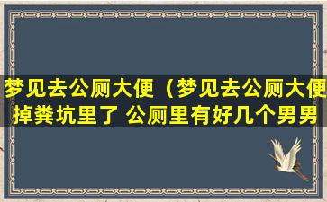 梦见去公厕大便（梦见去公厕大便掉粪坑里了 公厕里有好几个男男女女）